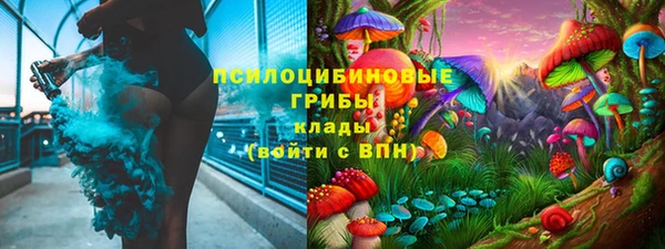 марки lsd Богданович